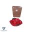 چراغ خطر عقب چپ 105070-P06 (2)